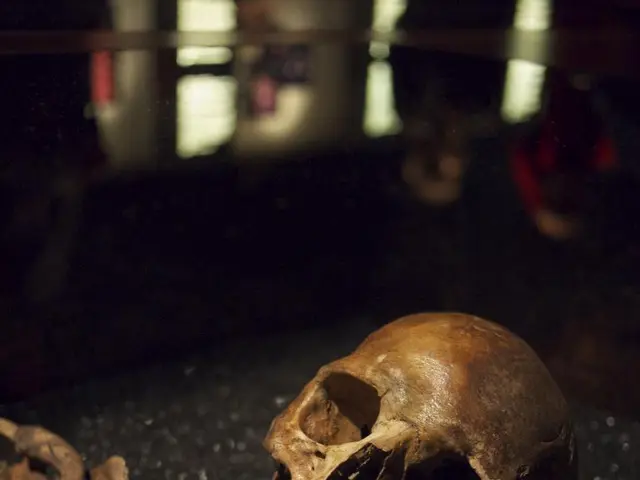 Frontal-Temporal Brain Deterioration: Signs, Remedies, and Root Causes