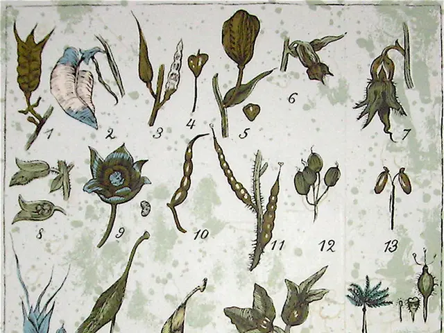 It is an edited image of flowers and plants.