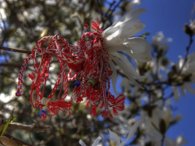 In this picture there is a white color flower which has an object on it and there are some other...