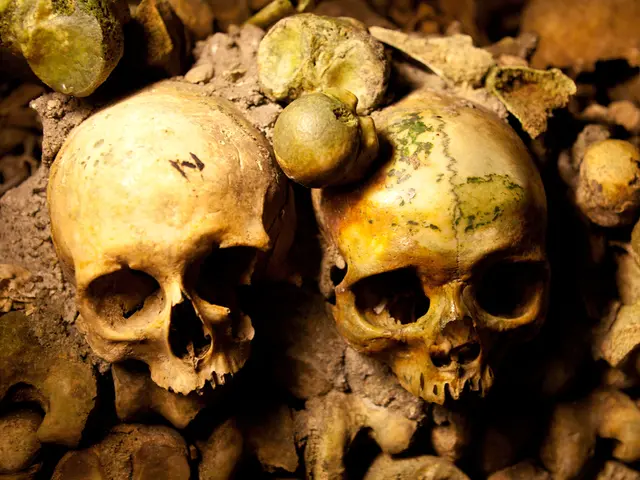 There are skulls and bones in this image.