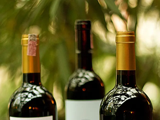 In this image I can see three bottles in the front and on these bottles I can see labels. I can...