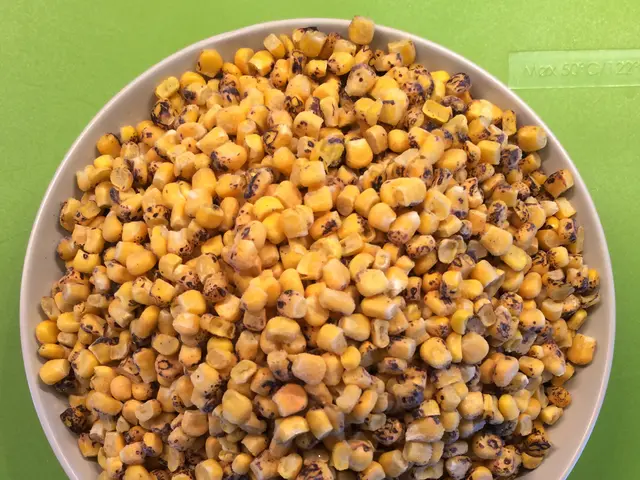 In this picture there are corn seeds in the white bowl. At the bottom there is a green color...
