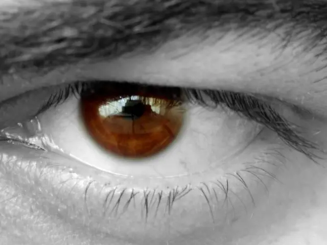 There is an eye brows and eye. And the pupil and iris is in brown color.