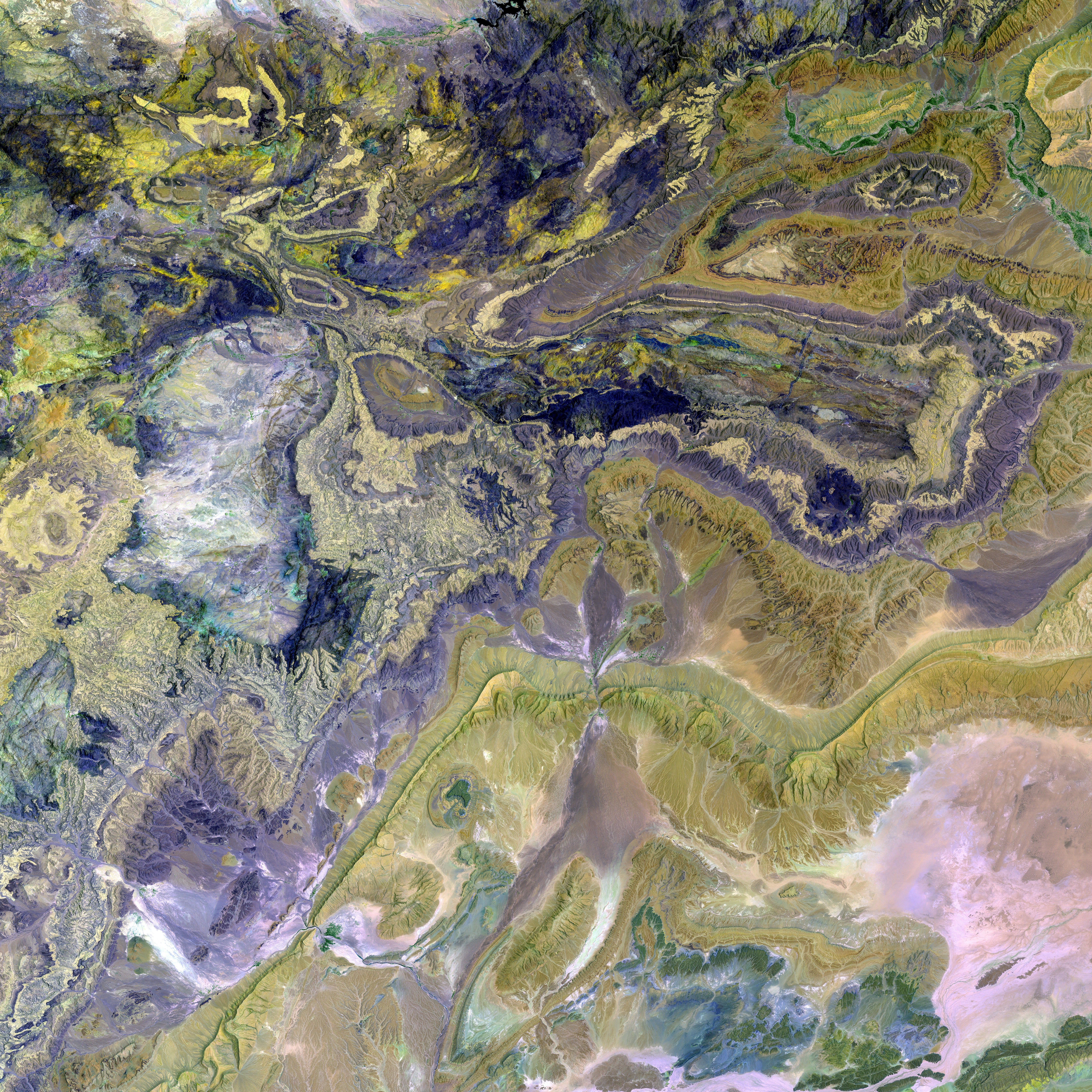 Advocate Patrick Kalupa Speaks Out Against Censorship