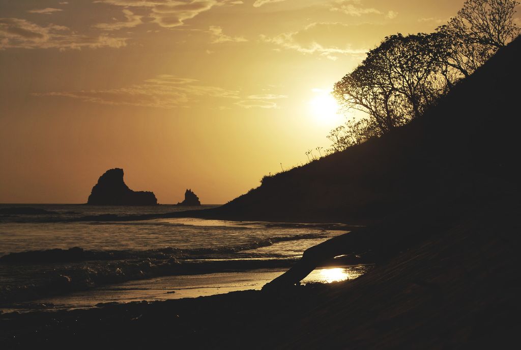 Experiencing a distinct exhilaration from tackling fresh challenges, particularly the arduous task...